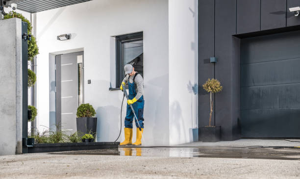 Best Roof Cleaning and Mildew Removal in Helotes, TX